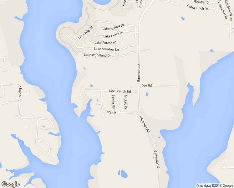 map of restaurants, bars, coffee shops, grocery stores, and more near 2181 Doe Branch Road in Little Elm