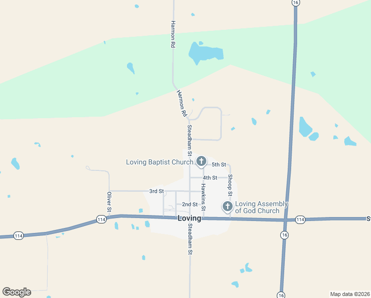 map of restaurants, bars, coffee shops, grocery stores, and more near 208 Steadham Street in Loving