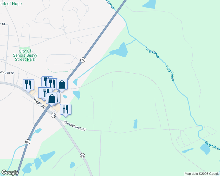 map of restaurants, bars, coffee shops, grocery stores, and more near 178 Cody Trail in Senoia