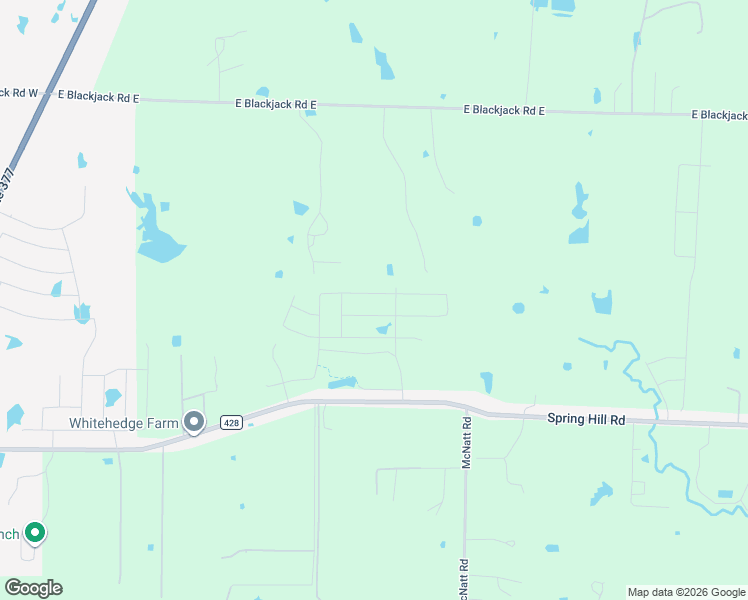 map of restaurants, bars, coffee shops, grocery stores, and more near 954 Blackjack Road East in Pilot Point