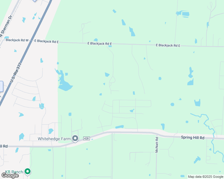 map of restaurants, bars, coffee shops, grocery stores, and more near 954 East Blackjack Road East in Pilot Point