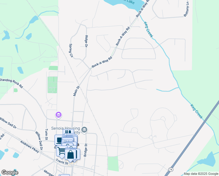 map of restaurants, bars, coffee shops, grocery stores, and more near 230 South Ridge in Senoia