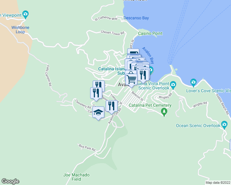 map of restaurants, bars, coffee shops, grocery stores, and more near 113 Tremont Street in Avalon