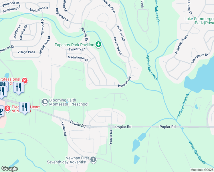 map of restaurants, bars, coffee shops, grocery stores, and more near 113 Horizon Hill in Newnan