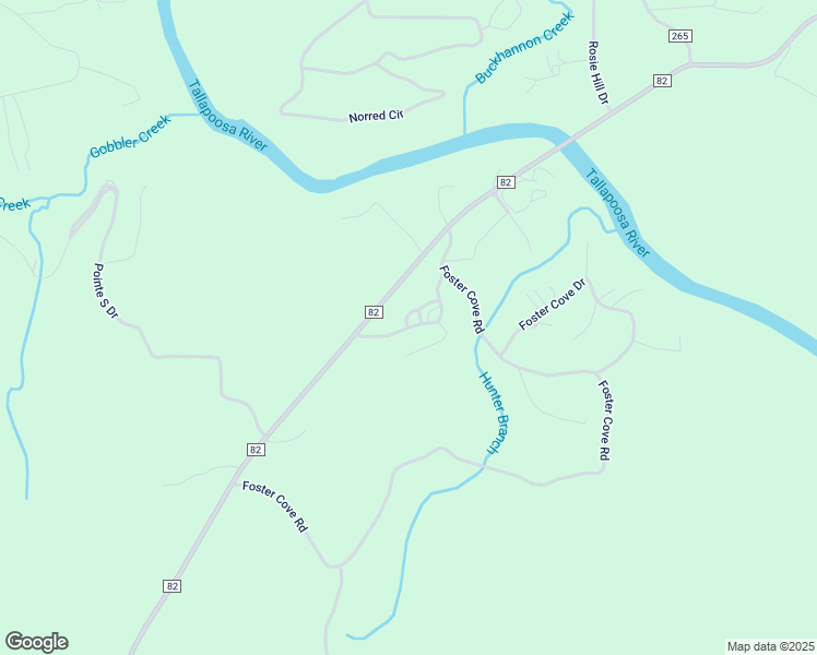 Foster Hill Road, Lineville AL Walk Score