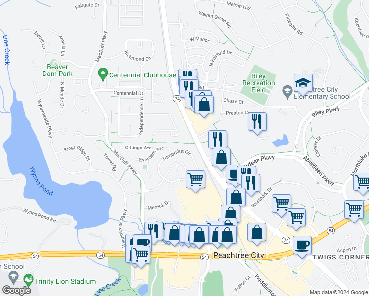 map of restaurants, bars, coffee shops, grocery stores, and more near 262 Turnbridge Circle in Peachtree City