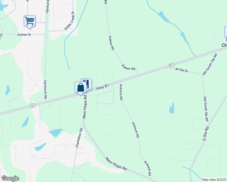 map of restaurants, bars, coffee shops, grocery stores, and more near 101 Pine Tree Lane in McDonough
