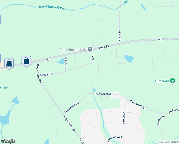 map of restaurants, bars, coffee shops, grocery stores, and more near 124 Tyler Drive in McDonough