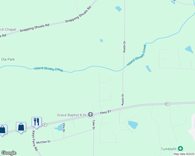 map of restaurants, bars, coffee shops, grocery stores, and more near 135 Rainwater Court in McDonough