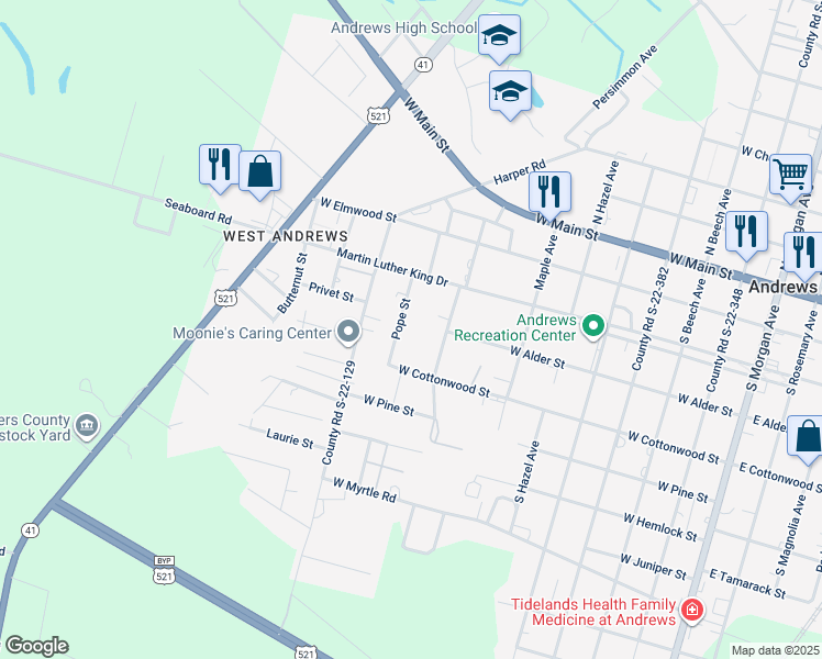 map of restaurants, bars, coffee shops, grocery stores, and more near 103 Pope Street in Andrews