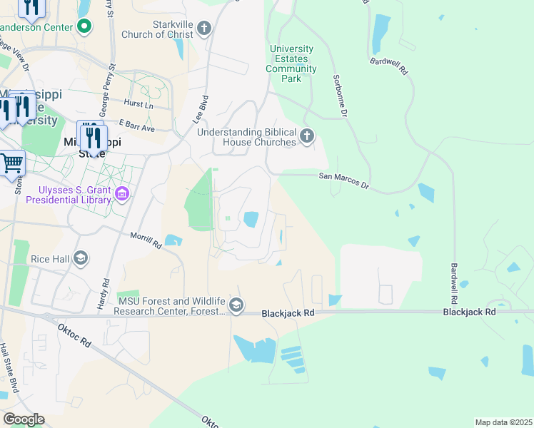 map of restaurants, bars, coffee shops, grocery stores, and more near 195 Misty Lee Lane in Starkville