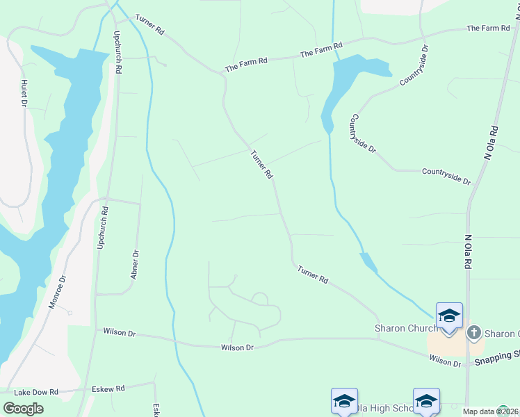 map of restaurants, bars, coffee shops, grocery stores, and more near 98 Turners Grove Lane in McDonough