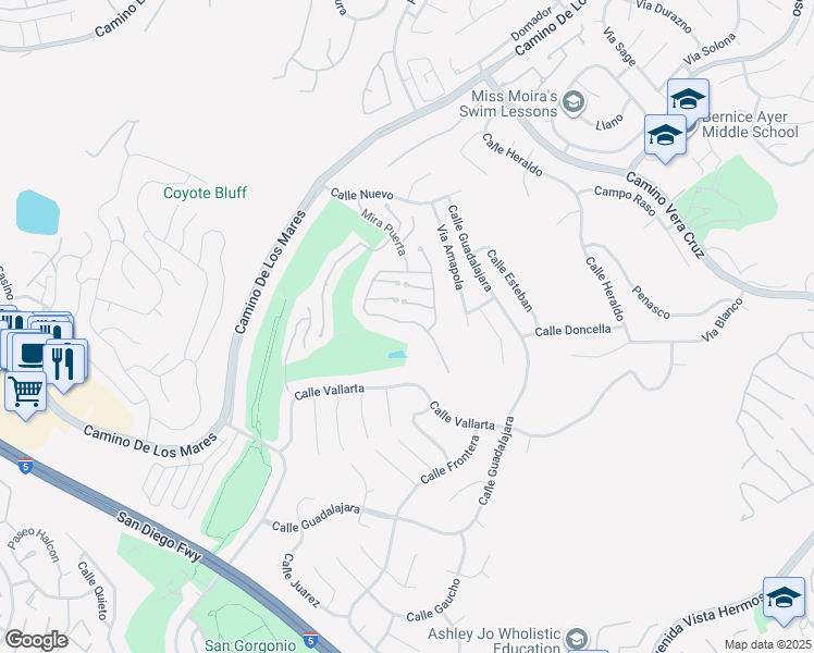 map of restaurants, bars, coffee shops, grocery stores, and more near 101 Mira Adelante in San Clemente