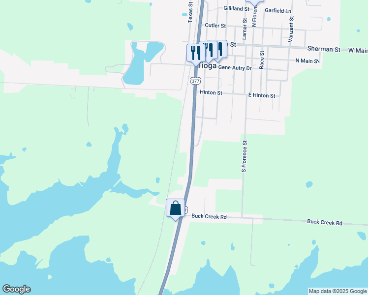 map of restaurants, bars, coffee shops, grocery stores, and more near 377 North Ray Roberts Parkway in Tioga