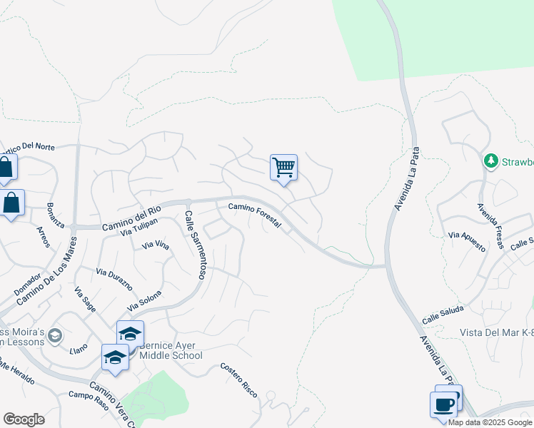 map of restaurants, bars, coffee shops, grocery stores, and more near 6151 Camino Forestal in San Clemente