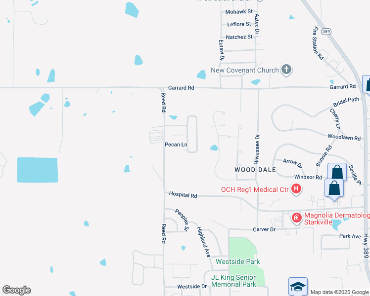map of restaurants, bars, coffee shops, grocery stores, and more near Reed Ridge Circle in Starkville