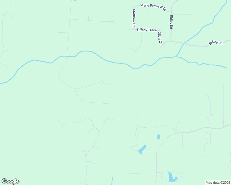 map of restaurants, bars, coffee shops, grocery stores, and more near 253 Jasper Drive in Palmetto