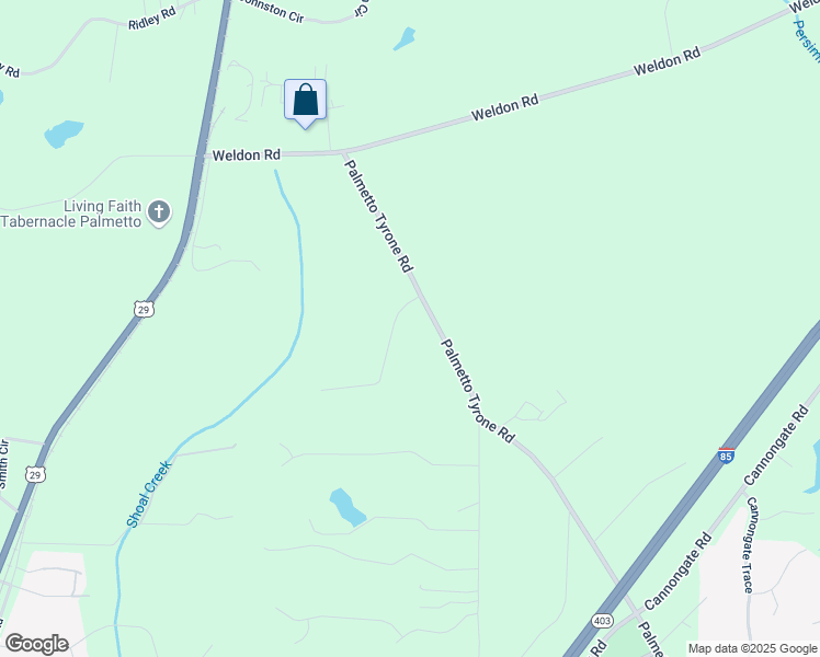 map of restaurants, bars, coffee shops, grocery stores, and more near 245 Palmetto Tyrone Road in Newnan