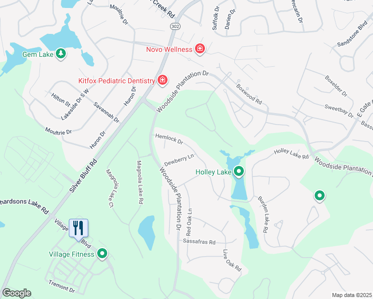map of restaurants, bars, coffee shops, grocery stores, and more near 117 Dewberry Lane in Aiken