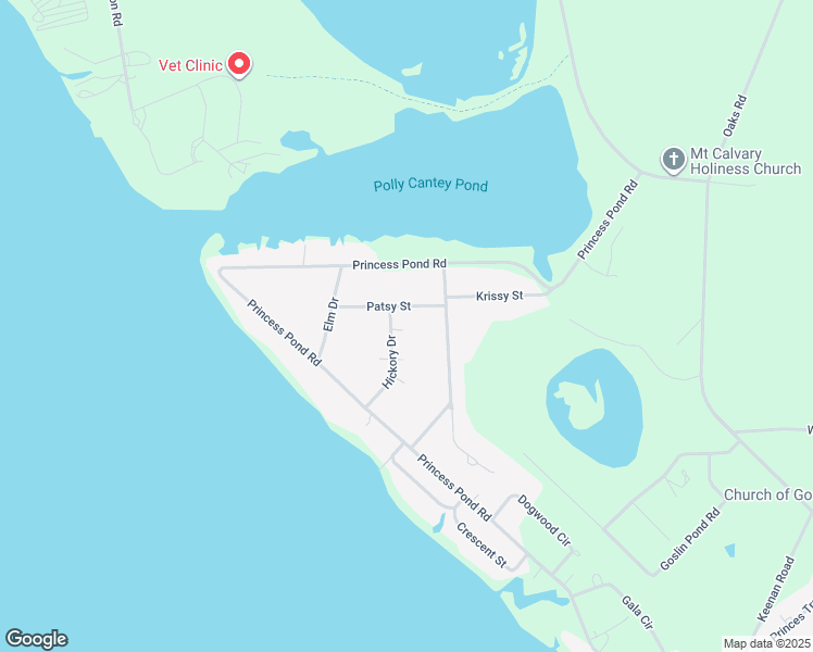 map of restaurants, bars, coffee shops, grocery stores, and more near 1135 Birch Drive in Summerton