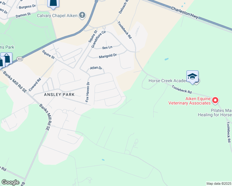 map of restaurants, bars, coffee shops, grocery stores, and more near 166 Squire Street in Aiken