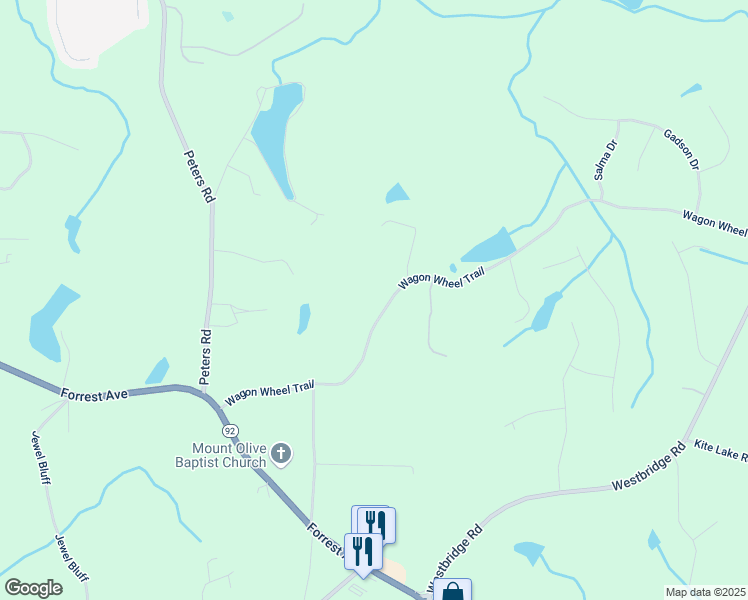 map of restaurants, bars, coffee shops, grocery stores, and more near 313 Wagon Wheel Trail in Fayetteville