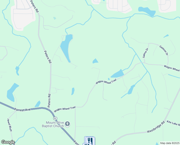 map of restaurants, bars, coffee shops, grocery stores, and more near 313 Wagon Wheel Trail in Fayetteville