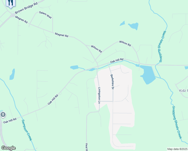 map of restaurants, bars, coffee shops, grocery stores, and more near 245 Livingston Lane in Covington