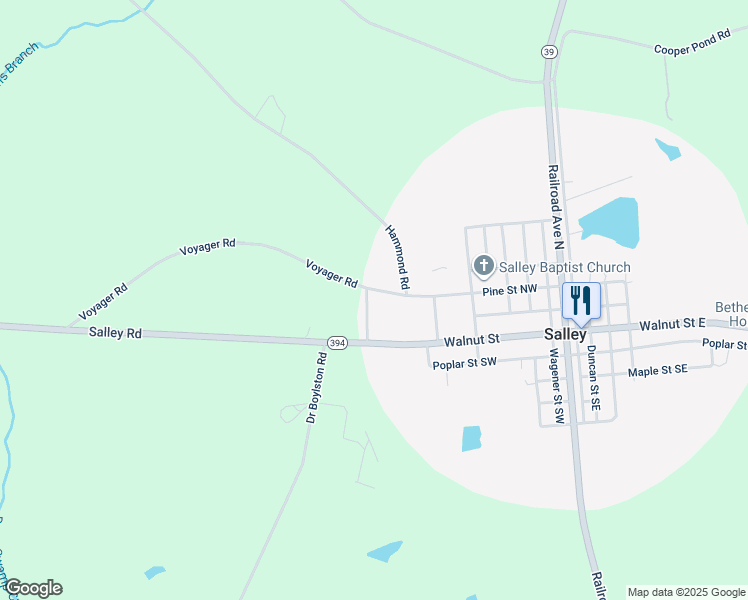 map of restaurants, bars, coffee shops, grocery stores, and more near 335 Pine Street Northwest in Salley