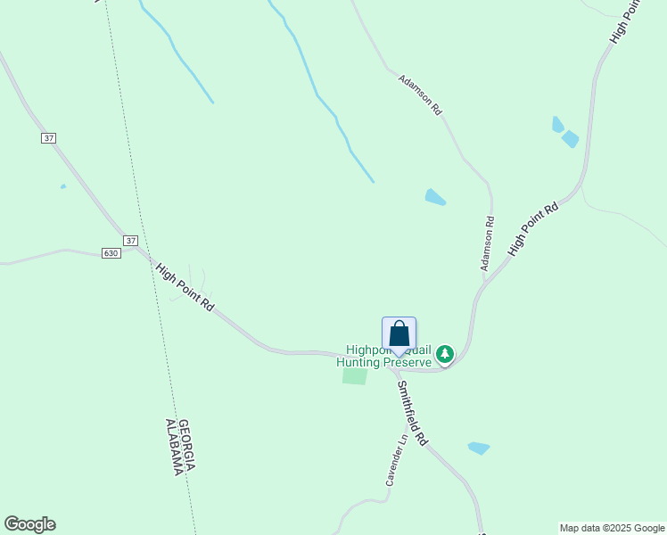 map of restaurants, bars, coffee shops, grocery stores, and more near 2038 High Point Road in Bowdon