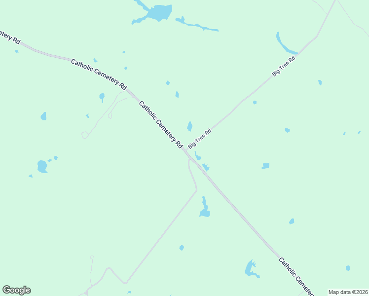 map of restaurants, bars, coffee shops, grocery stores, and more near Big Tree Road in Montague