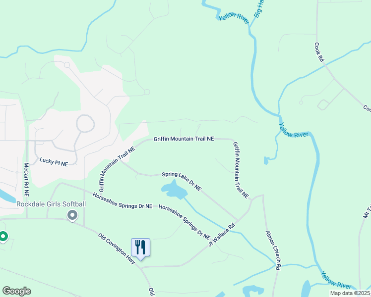 map of restaurants, bars, coffee shops, grocery stores, and more near 242 Griffin Mountain Trail Northeast in Conyers