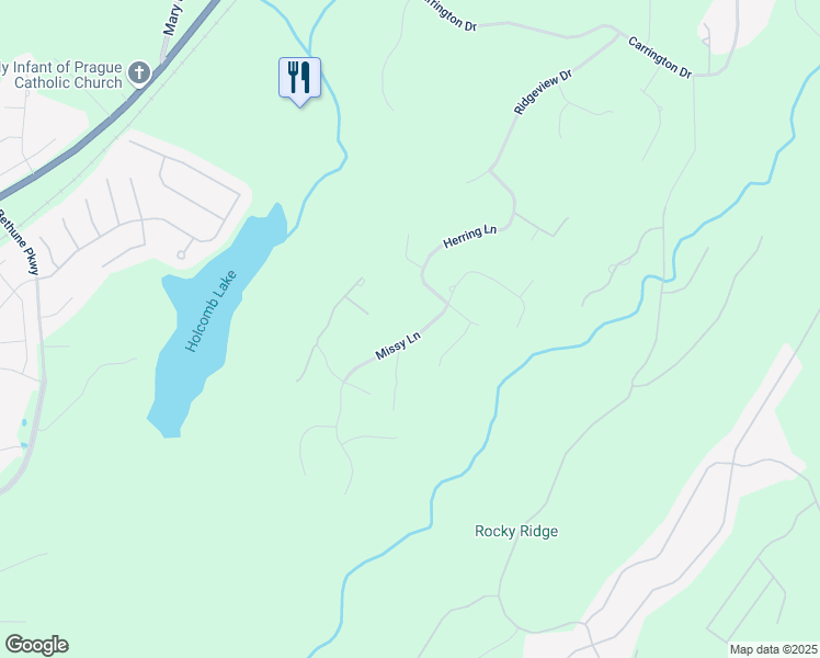 map of restaurants, bars, coffee shops, grocery stores, and more near 5184 Missy Lane in Trussville