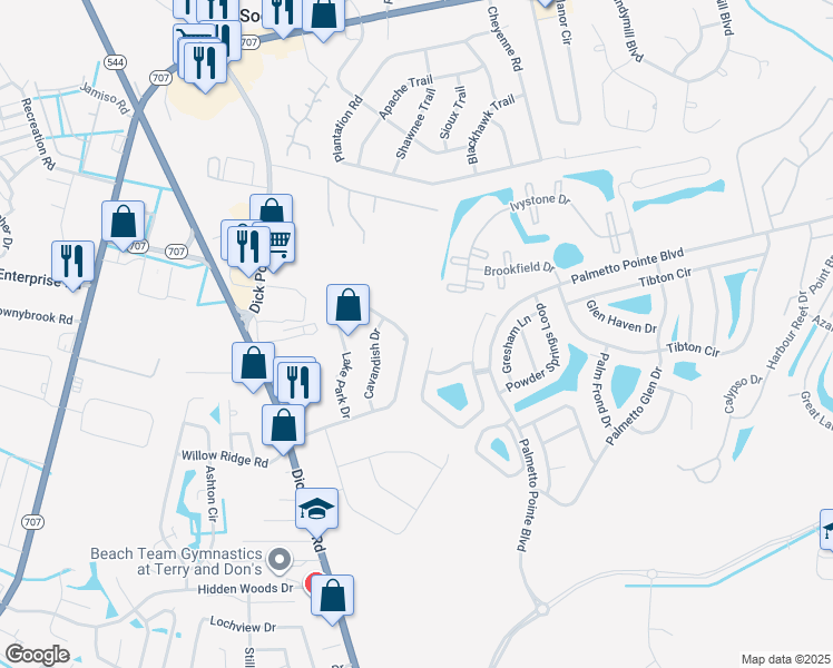 map of restaurants, bars, coffee shops, grocery stores, and more near 420 Lake Park Drive in Myrtle Beach