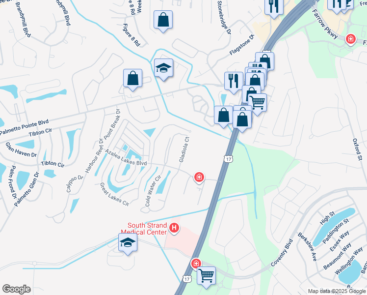 map of restaurants, bars, coffee shops, grocery stores, and more near 3919 Gladiola Court in Myrtle Beach