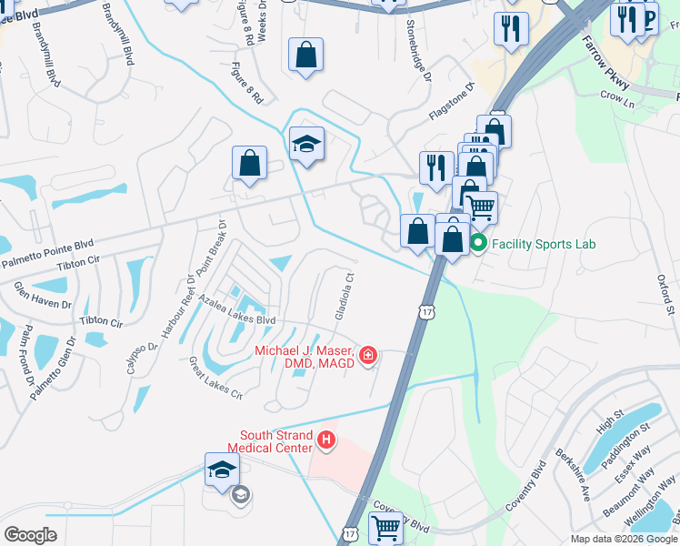 map of restaurants, bars, coffee shops, grocery stores, and more near 138 Butkus Drive in Myrtle Beach