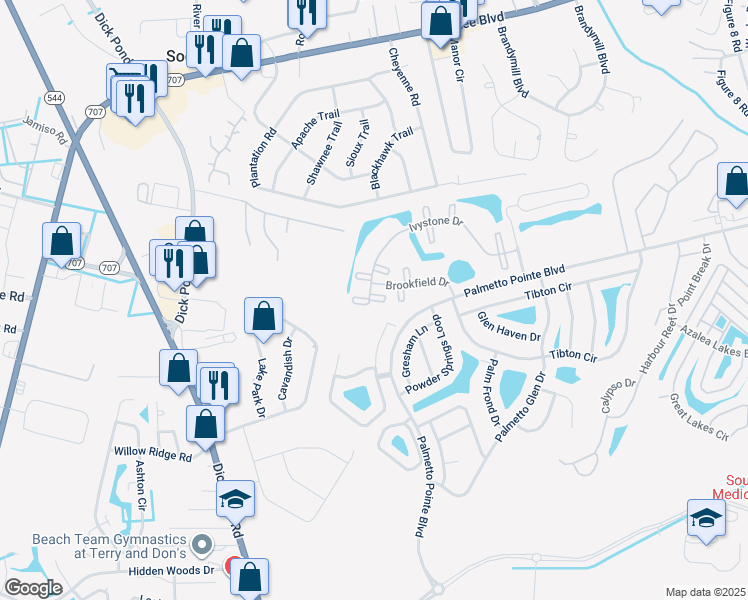 map of restaurants, bars, coffee shops, grocery stores, and more near 243 Ivystone Drive in Myrtle Beach