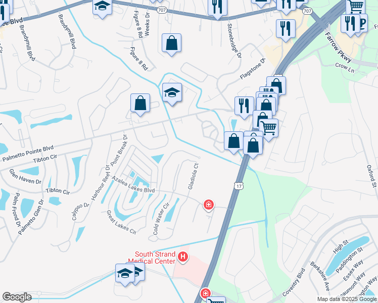 map of restaurants, bars, coffee shops, grocery stores, and more near 138 Butkus Drive in Myrtle Beach