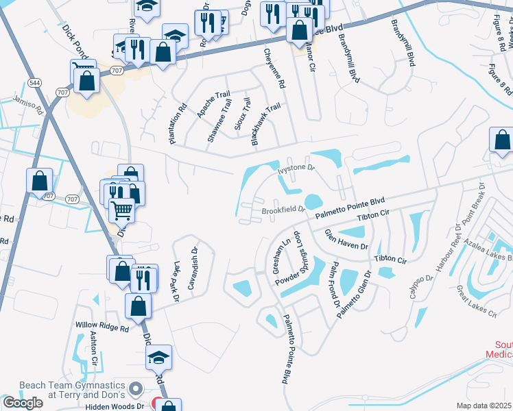 map of restaurants, bars, coffee shops, grocery stores, and more near 243 Ivystone Drive in Myrtle Beach