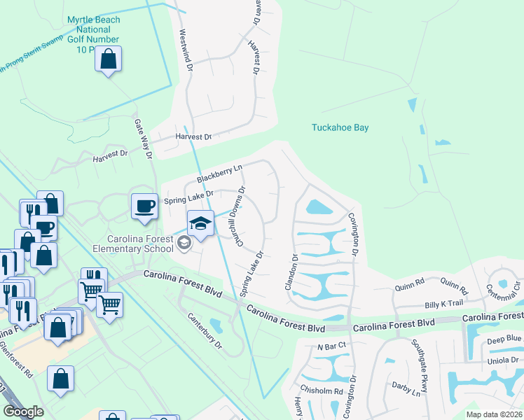 map of restaurants, bars, coffee shops, grocery stores, and more near 459 Spring Lake Drive in Myrtle Beach
