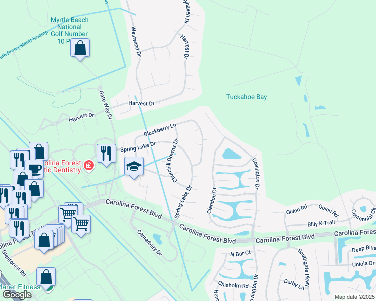 map of restaurants, bars, coffee shops, grocery stores, and more near 459 Spring Lake Drive in Myrtle Beach
