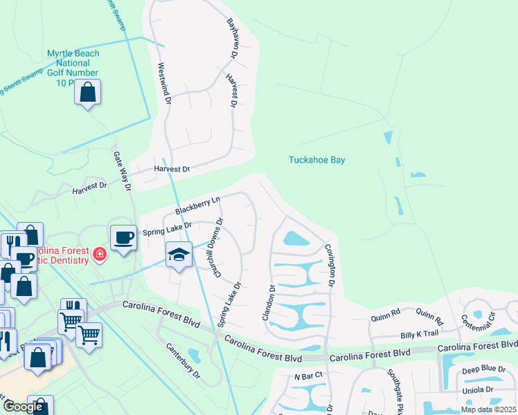 map of restaurants, bars, coffee shops, grocery stores, and more near 376 Blackberry Lane in Myrtle Beach