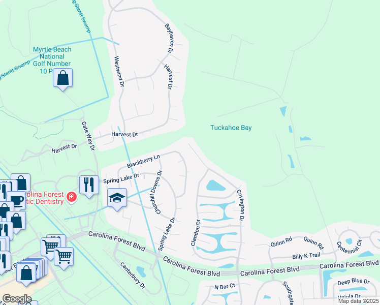 map of restaurants, bars, coffee shops, grocery stores, and more near 376 Blackberry Lane in Myrtle Beach