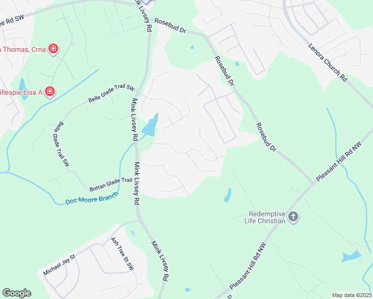 map of restaurants, bars, coffee shops, grocery stores, and more near 4862 Bryant Drive in Snellville