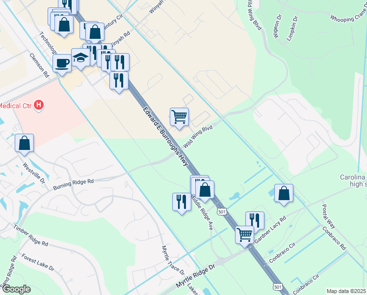 map of restaurants, bars, coffee shops, grocery stores, and more near 101 Wild Wing Boulevard in Conway