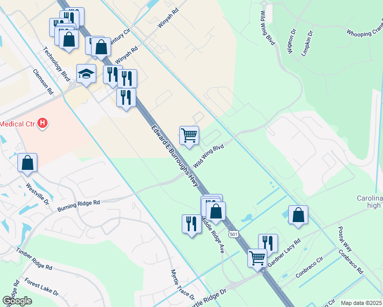 map of restaurants, bars, coffee shops, grocery stores, and more near 101 Wild Wing Boulevard in Conway