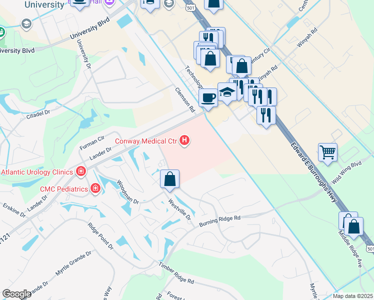map of restaurants, bars, coffee shops, grocery stores, and more near 300 Singleton Ridge Road in Conway
