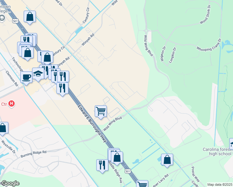 map of restaurants, bars, coffee shops, grocery stores, and more near 1128 Fairway Lane in Conway
