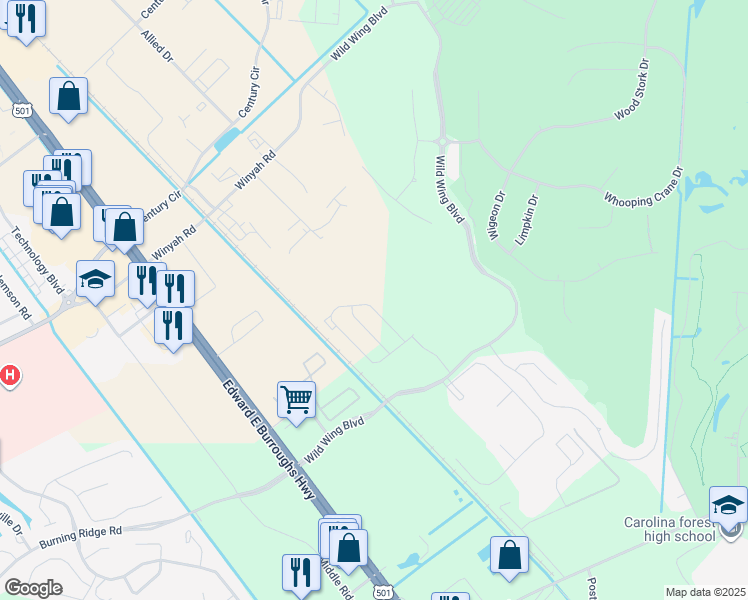 map of restaurants, bars, coffee shops, grocery stores, and more near 501 Wild Wing Boulevard in Conway