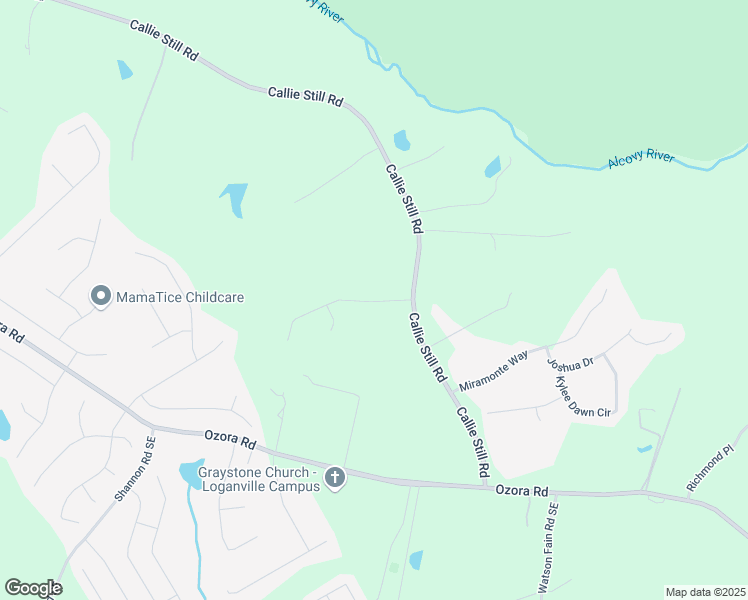 map of restaurants, bars, coffee shops, grocery stores, and more near 1575 Tapestry Ridge Southeast in Lawrenceville